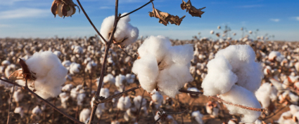 HGS Representações